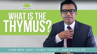 What is the Thymus and What Does it Do  Infusio [upl. by Yartnoed]