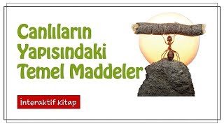 Canlıların Yapısındaki Temel Maddeler İnorganik Maddeler sayfa14 [upl. by Tapes]