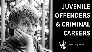 Juvenile Delinquency Two Types of Criminal Careers [upl. by Ainahpets]