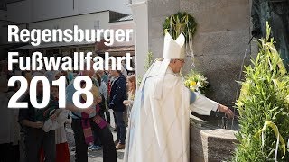 Regensburger Diözesanfußwallfahrt 2018 [upl. by Yul]