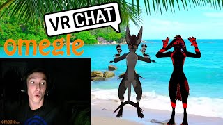 quotI think we broke himquot  VRChat Furries Invade Omegle Episode 5 [upl. by Belier]