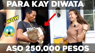 DIWATA BINIGYAN NI ROSMAR NG MAMAHALING ASO AT SAMPUNG SAKO NA PAGKAIN [upl. by Lynna282]