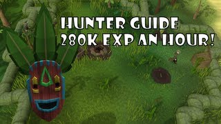 Runescape  Hunter Guide  80 Method Igneous and Carrion Jadinkos MoneyK1lls [upl. by Aztinad]