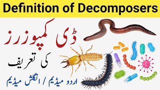 Decomposers  what are Decomposers  Decomposers definition  Decomposers meaning [upl. by Whitman]