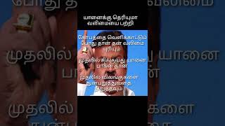 Vijaykanth yaanai paagankavithai shorts Tamil shorts new [upl. by Ennovad]