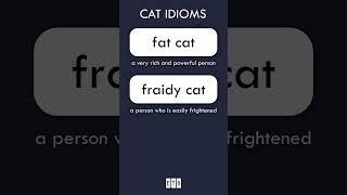 Cat idioms [upl. by Shira]