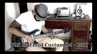 Prs Se Floyd Custom 24 2017  test by ViNs [upl. by Andrews858]