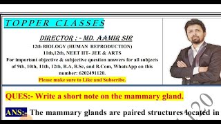 Write a short note on the mammary gland [upl. by Nylarad]