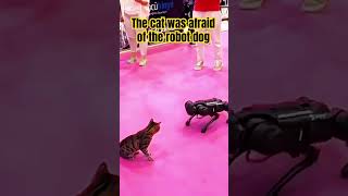 Robot dog and cat dog cat animalsshorts catvideos dogbreed [upl. by Ozan721]