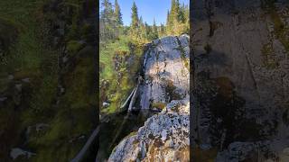 Mountain Creek in the mountains above The Farm Trail northernbc [upl. by Mairhpe920]