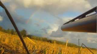 Goose Hunting In Sweden 2012 [upl. by Josepha226]