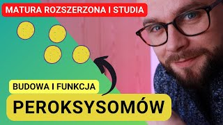 Peroksysomy  budowa i funkcja [upl. by Nnaeerb]