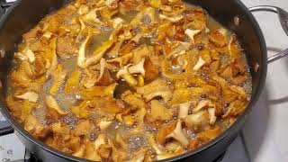 Cooking Chanterelle Mushrooms Dry sautéed method [upl. by Ianthe]