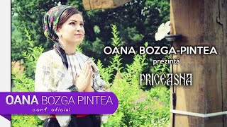 Oana Bozga Pintea  Fericit Apostol al iubirii PRICEASNA [upl. by Dric752]