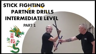 DOUBLE STICK FIGHTING PARTNER DRILLS  PART 1 [upl. by Elatan249]