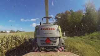 MampE Farms Fall Corn Harvest 2014 [upl. by Apps373]