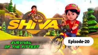 Shiva survival of the fittest  S8  episode20  Shiva cartoon  CINEMA KIDZS shiva cartoon [upl. by Leiba845]