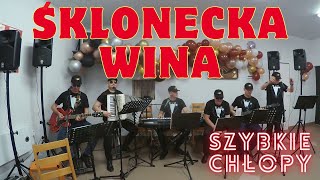 SZYBKIE CHŁOPY  Śklonecka wina 🍷 Murań cover [upl. by Accebber]