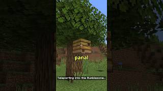 LA DIMENSIÓN DE LAS ABEJAS EN MINECRAFT [upl. by Ahsimik152]