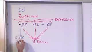 Algebraic Expressions Terms and Coefficients [upl. by Nyraf]