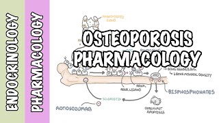 Osteoporosis pharmacology prevention and treatment bisphosphonates denosumab SERMs [upl. by Notsahc182]