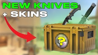 BRAND NEW CS2 CASES in 2024 NEW KNIVES LEAKED [upl. by Ydaj18]