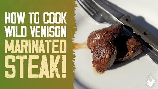 How to cook a TASTY venison steak marinade recipe [upl. by Yelram198]