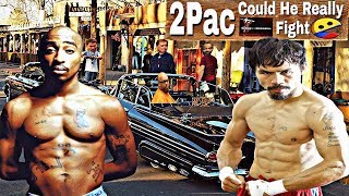 2Pac Could He Really Fight [upl. by Coco]