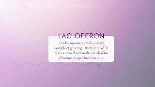 Lac Operon [upl. by Id]