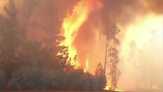 Chile fire 100 homes destroyed in coastal city of Valparaiso [upl. by Africa]