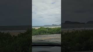 Ocean Beach NSW Australia centralcoast beach coastlife [upl. by Nore870]