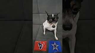 Texans vs Cowboys nfl nflpredictions mondaynightfootball week11 houstontexans dallascowboys [upl. by Nove]