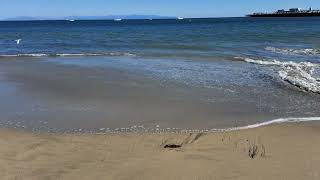 Santa Cruz CA Waves Crashing Ashore [upl. by Allegra]