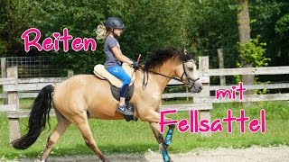 Lia amp Alfi  FMA Stallalltag und Reiten mit Fellsattel [upl. by Eruot141]