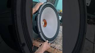 P Audio BM300B 300W Speaker Sound Check shortvideo [upl. by Imehon388]