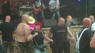 Biertoifel Streetpunk  Oi Senftenberg live  Schleiz 2024 [upl. by Ahsinat285]