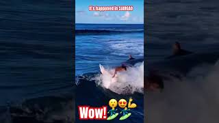 this is SURFING in SIARGAOday 3 shorts youtubeshorts video [upl. by Berlinda465]