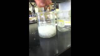 Silver Nitrate  Sodium Chloride reaction [upl. by Virg]