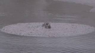 Bubbling Mud Pools at Waiotapu Thermal Wonderland [upl. by Carpet]