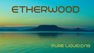 Etherwood  Tribute Mix Pure  Liquid No337 [upl. by Sorensen]