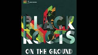 Black Roots  Earth Land [upl. by Ylecara]