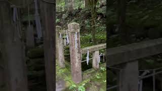 「平泉寺白山神社」御手洗池平泉、白山大神 御出現と伝わる、福井県勝山市quotHeisenji Temple Hakusan Shrinequot in Kastuyama cityFukui pre [upl. by Aihsatsan]