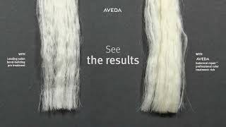 An Extreme Test Aveda vs a Leading Salon BondBuilding Pro Treatment [upl. by Viquelia340]