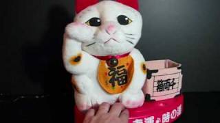 Maneki Neko with Motion and Sound  Lucky Cat  招き猫 [upl. by Raman24]