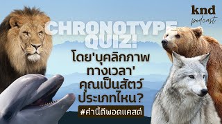 Chronotype Quiz โดย ‘บุคลิกภาพทางเวลา’ คุณเป็นสัตว์ประเภทไหน  คำนี้ดี EP966 [upl. by Imelida]