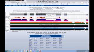 How to visualise RNAseq gene expression data on the UCSC genome browser tutorial 3 [upl. by Quin]