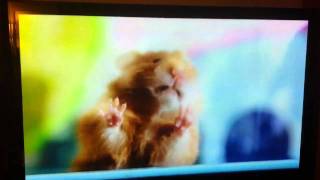 Dog Cat amp Hamster Speaking Advert [upl. by Naitsihc56]