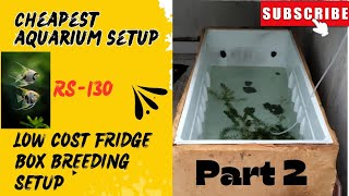 Low Budget Aquarium setup under 130RsHow to Make Fridge Box Aquarium Setup with Plants 🌱🌱Part 2 [upl. by Anwahsad340]