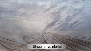 Singulier et pluriel 142  La Rubrique de Frédérique [upl. by Gnahk]