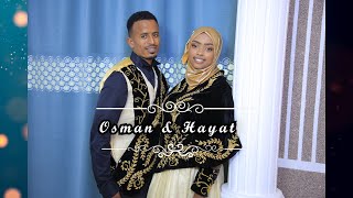 Osman amp Hayat Wedding Highlights [upl. by Hesper309]